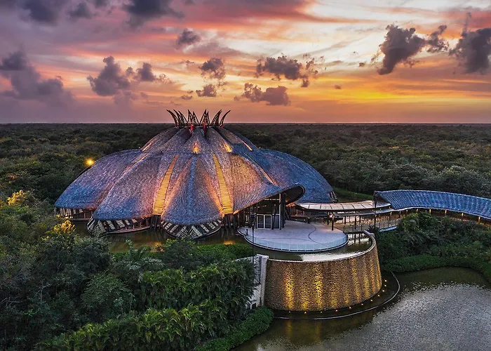 Hotel Jungala At Vidantaworld Riviera Maya Playa Paraiso